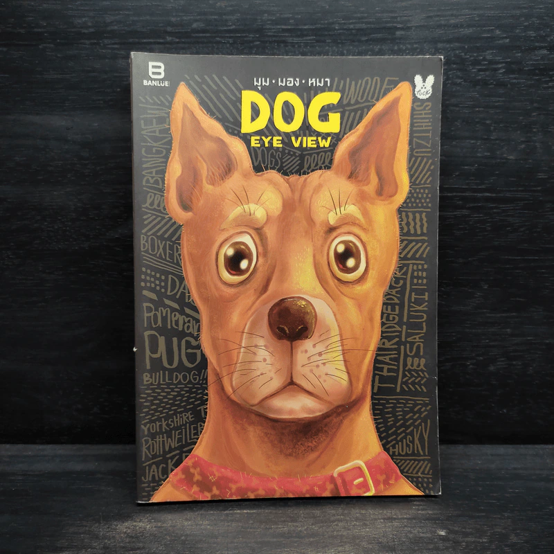 Dog Eye View (มุม มอง หมา) - ไตรภัค สุภวัฒนา รูปที่ 1