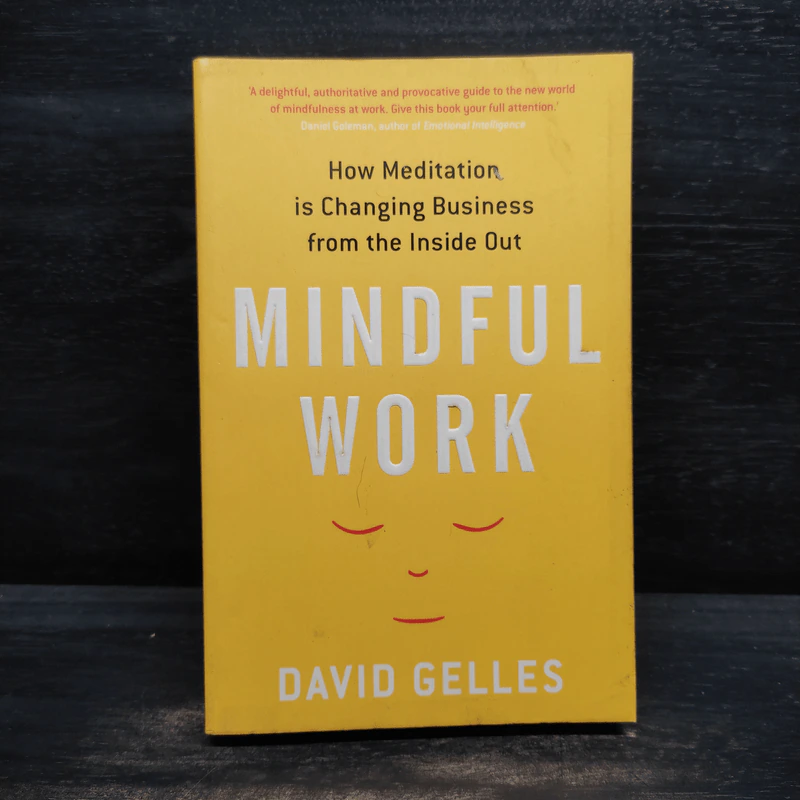 Mindful Work - David Gelles รูปที่ 1