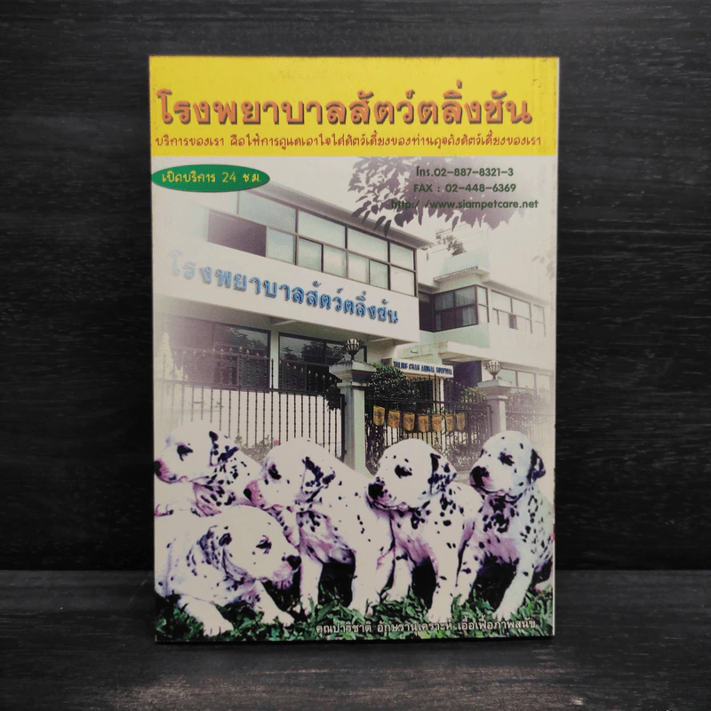 หมา (ไม่) หมา - ชนกพร จันทวิบูลย์ รูปที่ 2