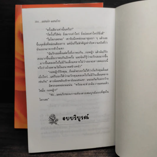 แผนรักแผนร้าย 2 เล่มจบ - ไอริณ รูปที่ 7