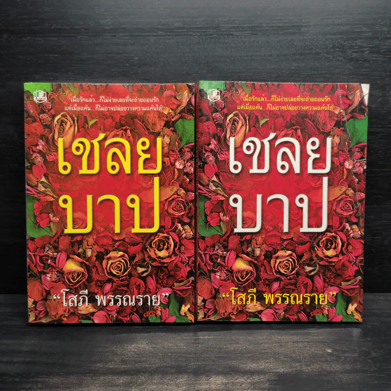 เชลยบาป 2 เล่มจบ - โสภี พรรณราย รูปที่ 1