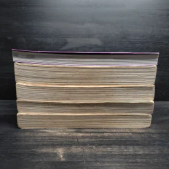 หัวขโมยแห่งบารามอส 4 เล่มจบ + The Perfect Guidebook - Rabbit รูปที่ 13