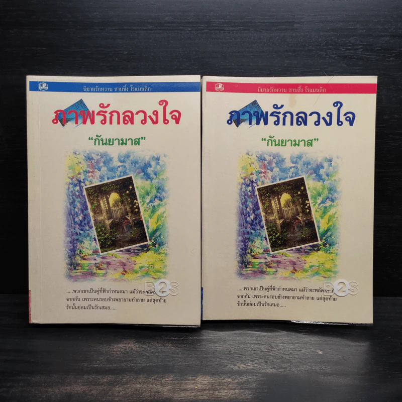 ภาพรักลวงใจ 2 เล่มจบ - กันยามาส รูปที่ 1