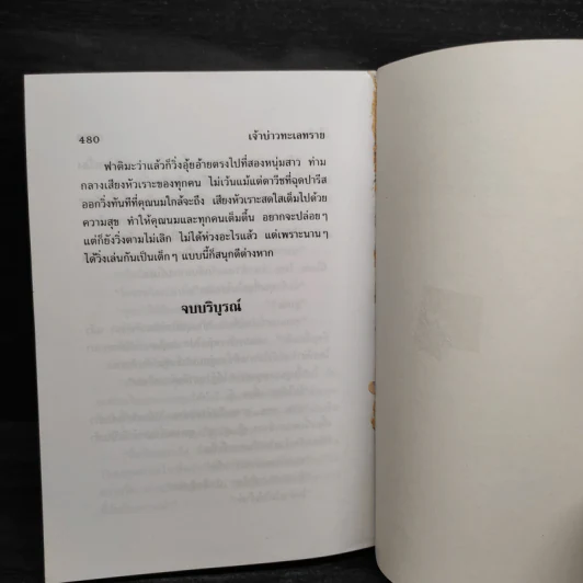 เจ้าบ่าวทะเลทราย - ไอริณ รูปที่ 7