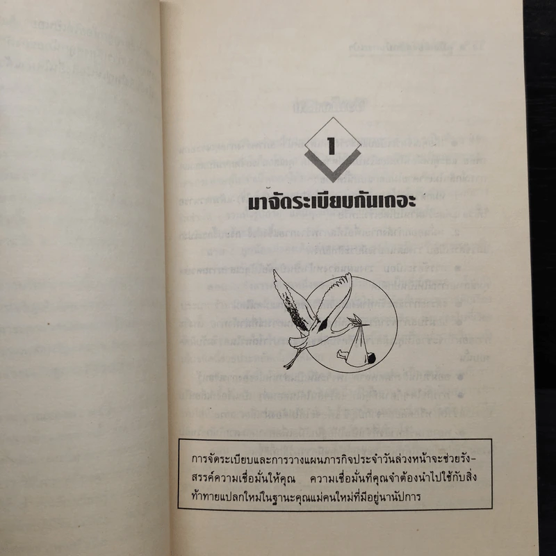 คู่มือเลี้ยงลูกฉบับกระเป๋า สำหรับคุณแม่คนใหม่ - ซูซาน ลิมาโต รูปที่ 6