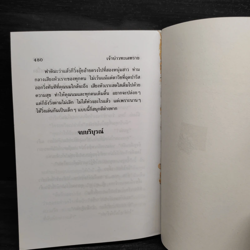 เจ้าบ่าวทะเลทราย - ไอริณ รูปที่ 7
