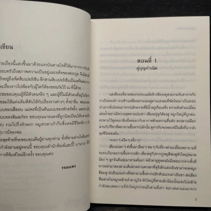 ลูกทุ่งโมดิฟายด์ - รอมแพง รูปที่ 6