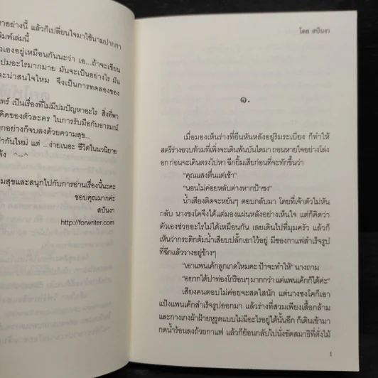 ไฟรักเพลิงแสงจันทร์ - สปันงา รูปที่ 6