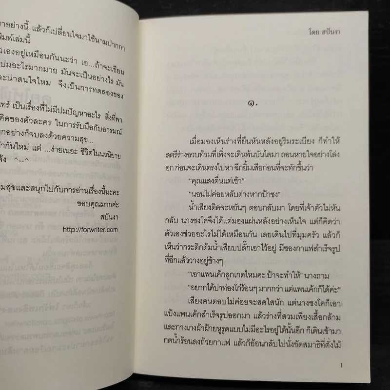 ไฟรักเพลิงแสงจันทร์ - สปันงา รูปที่ 6