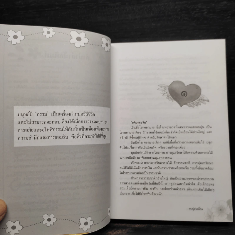 ชมพู่ม่าเหมี่ยว - โสภี พรรณราย รูปที่ 7