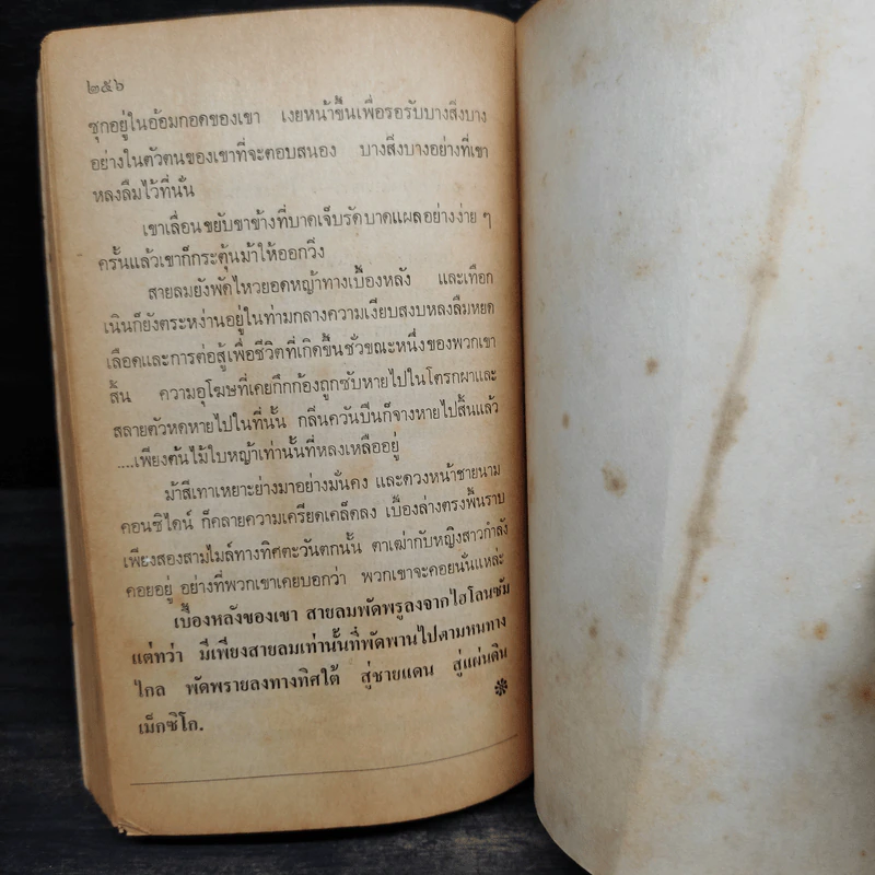 ลบลายนักเลงปืน - หลุยส์ ลามูร์ รูปที่ 8