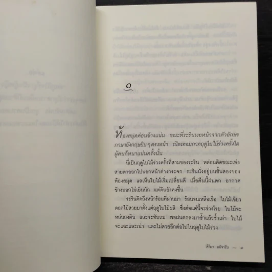 ไม้เมืองหนาว - สิริมา อภิจาริน รูปที่ 6