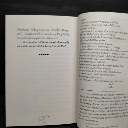 เวียนนาวันฟ้าใส - ช่อลัดา รูปที่ 8