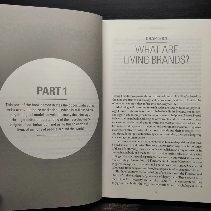 Living Brands - Constantinos Pantidos รูปที่ 8