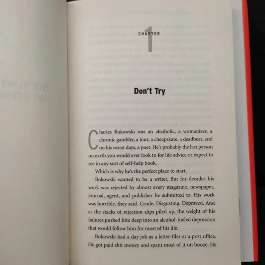 The Subtle Art of Not Giving a F*ck - Mark Manson รูปที่ 7