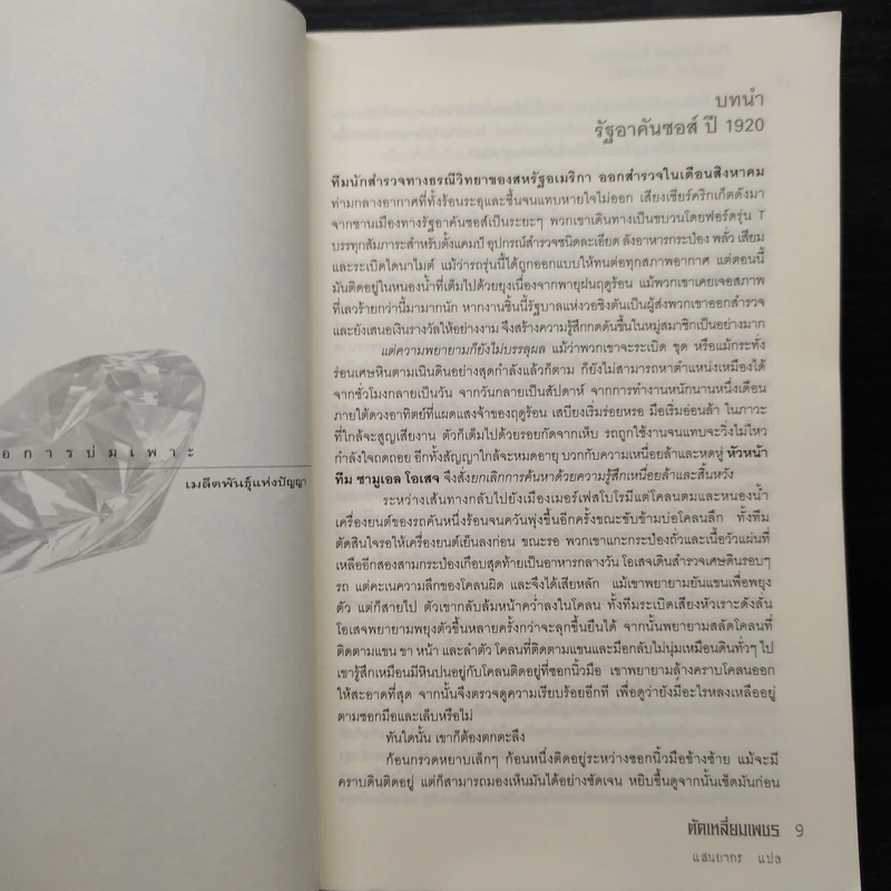 Diamond Conspiracy ตัดเหลี่ยมเพชร - Nicolas Kublicki รูปที่ 6