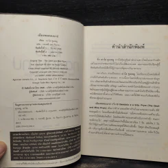 เมืองทดสอบบาป - Paulo Coelho (เปาโล คูเอลญู) รูปที่ 5