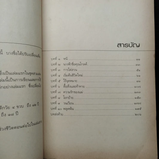 เด็กหลง The Lost Boy ชีวิตจริงของเดฟ หรือเดวิด เพลเซอร์ รูปที่ 6