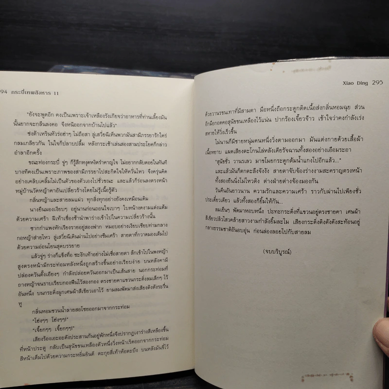 กระบี่เทพสังหาร 11 เล่มจบ - Xiao Ding รูปที่ 7