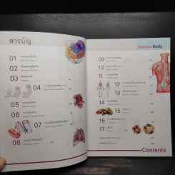 ระบบร่างกายมนุษย์ HUMAN BODY รูปที่ 6
