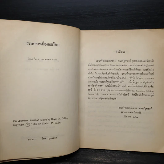 ระบบการเมืองอเมริกา - เดวิด พิ คัลลิโอ รูปที่ 5