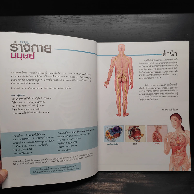 ระบบร่างกายมนุษย์ HUMAN BODY รูปที่ 5