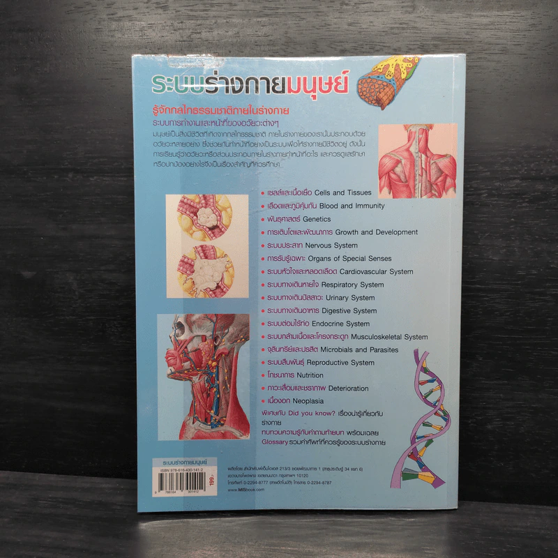 ระบบร่างกายมนุษย์ HUMAN BODY รูปที่ 2