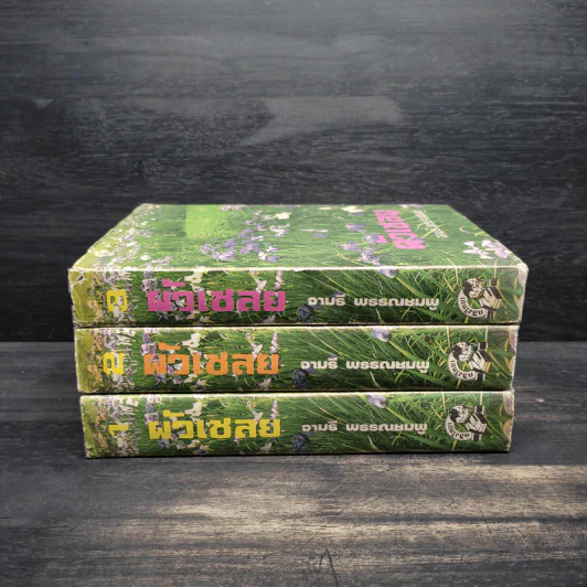 ผัวเชลย 3 เล่มจบ - จามรี พรรณชมพู รูปที่ 2