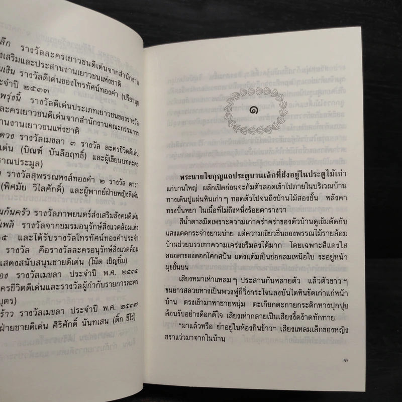 เรือนมยุรา 2 เล่มจบ (ปกแข็ง) - แก้วเก้า รูปที่ 6