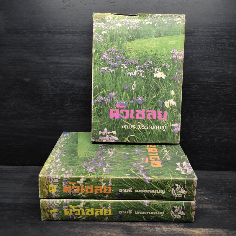 ผัวเชลย 3 เล่มจบ - จามรี พรรณชมพู รูปที่ 1