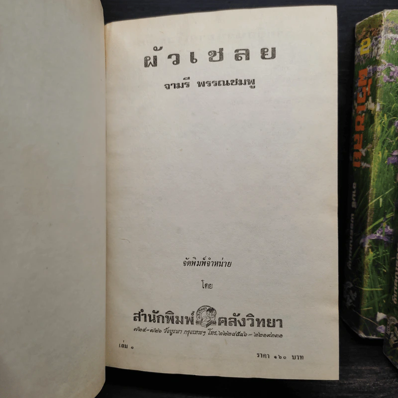 ผัวเชลย 3 เล่มจบ - จามรี พรรณชมพู รูปที่ 5