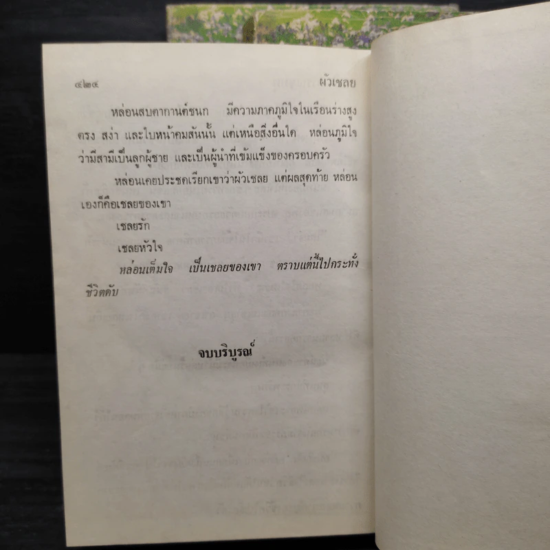 ผัวเชลย 3 เล่มจบ - จามรี พรรณชมพู รูปที่ 7
