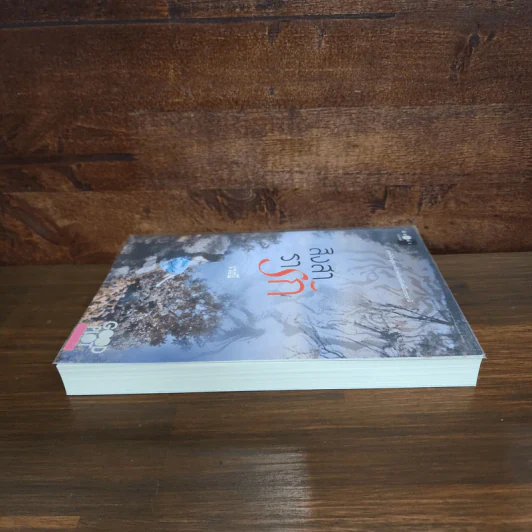 สิงสารารัก - เรณี รูปที่ 3