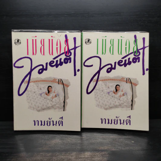 เมียน้อย 2 เล่มจบ - ทมยันตี รูปที่ 6