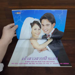 เจ้าสาวสายฟ้าแลบ เรื่องย่อละคร ชีวิตดารา รูปที่ 2