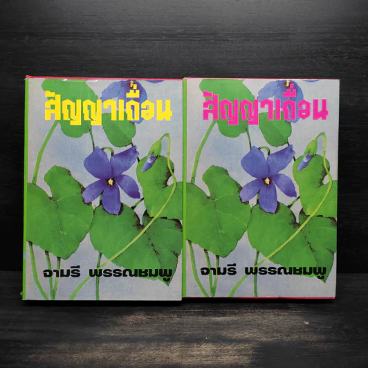 สัญญาเถื่อน 2 เล่มจบ (ปกแข็ง) - จามรี พรรณชมพู รูปที่ 1