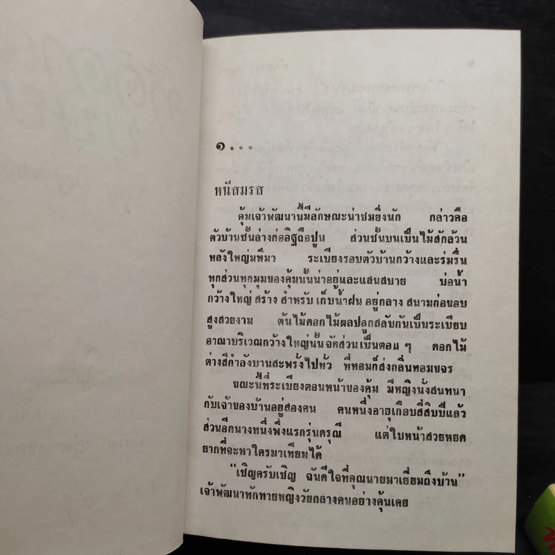 ทัดดาวบุษยา 2 เล่มจบ (ปกแข็ง) - ชอุ่ม ปัญจพรรค์ รูปที่ 6
