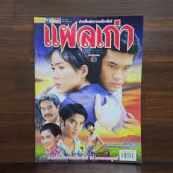 แผลเก่า เรื่องย่อละคร ชีวิตดารา รูปที่ 1
