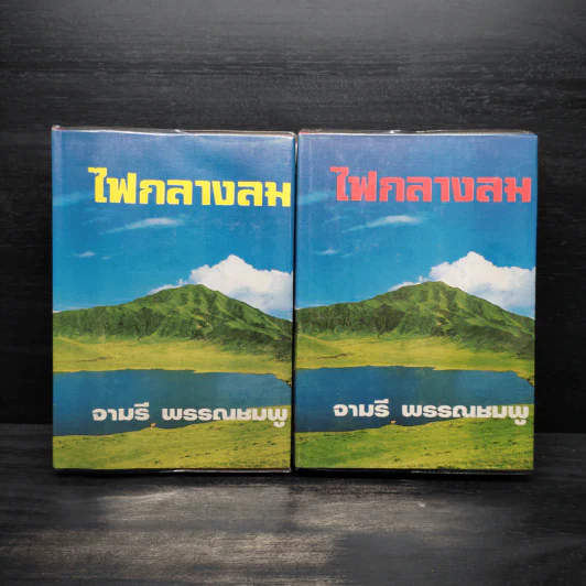 ไฟกลางลม 2 เล่มจบ (ปกแข็ง) - จามรี พรรณชมพู รูปที่ 1