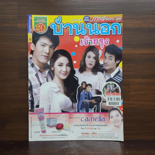 บ้านนอกเข้ากรุง เรื่องย่อละคร ภาพยนตร์บันเทิง รูปที่ 1