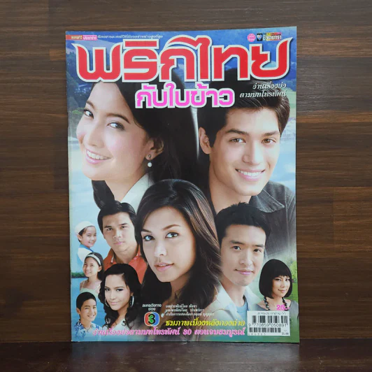 พริกไทยกับใบข้าว เรื่องย่อละคร ชีวิตดารา รูปที่ 1