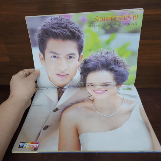 ร้อยเล่ห์เสน่ห์ร้าย เรื่องย่อละคร ชีวิตดารา รูปที่ 2