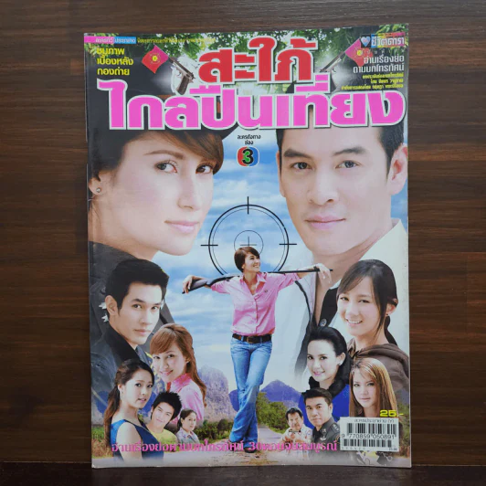 สะใภ้ไกลปืนเที่ยง เรื่องย่อละคร ชีวิตดารา รูปที่ 1