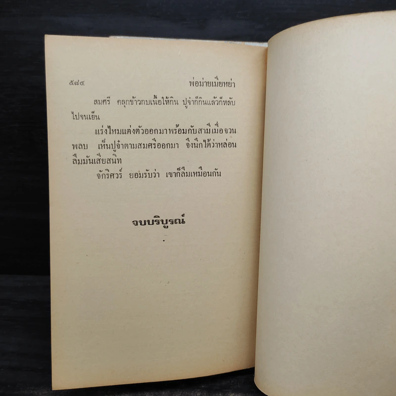 พ่อม่ายเมียหย่า 2 เล่มจบ - วลัย นวาระ รูปที่ 6