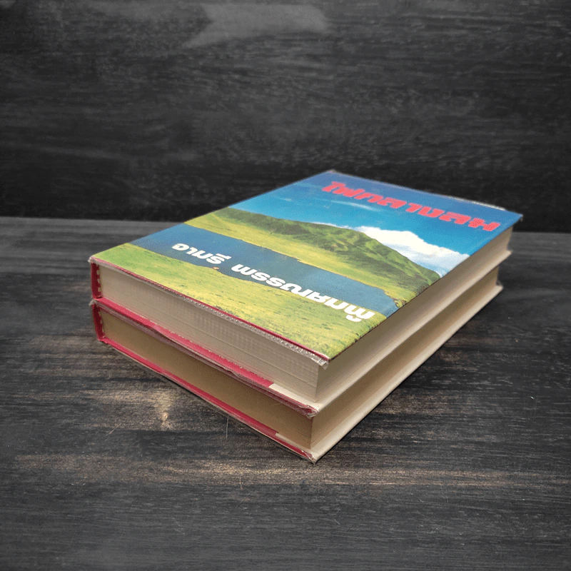ไฟกลางลม 2 เล่มจบ (ปกแข็ง) - จามรี พรรณชมพู รูปที่ 4