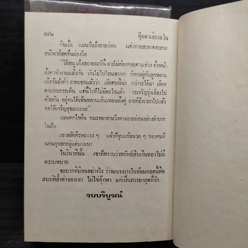 ตุ๊กตาเจียระไน 2 เล่มจบ (ปกแข็ง) - จามรี พรรณชมพู รูปที่ 6