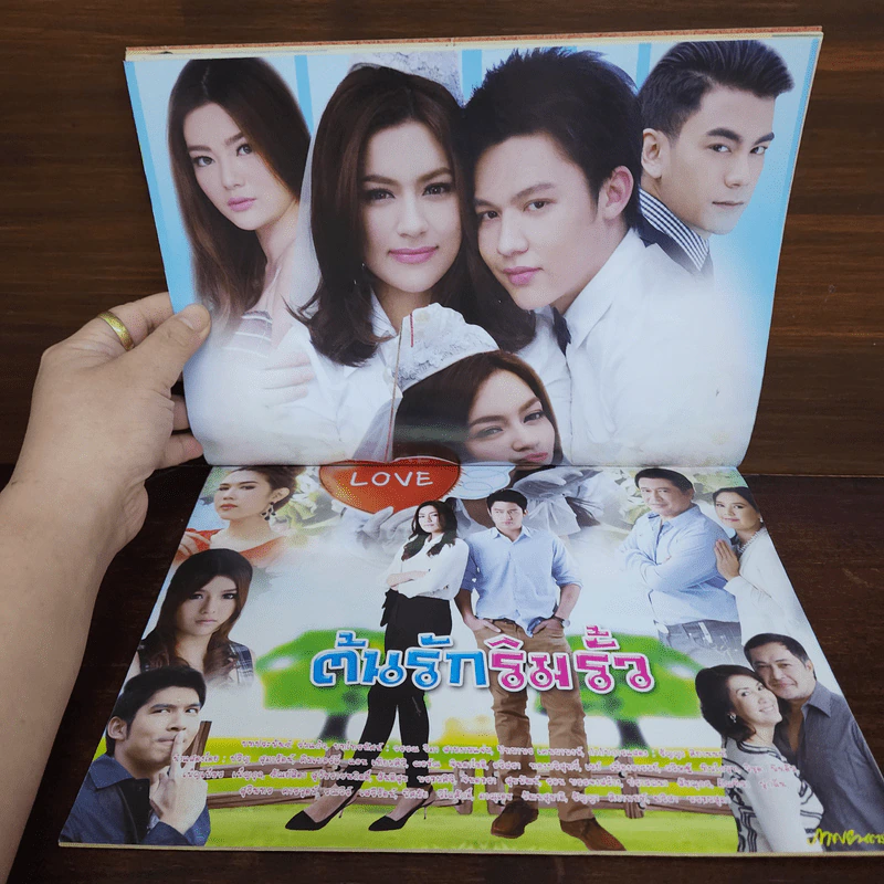 ต้นรักริมรั้ว เรื่องย่อละคร ภาพยนตร์บันเทิง รูปที่ 2