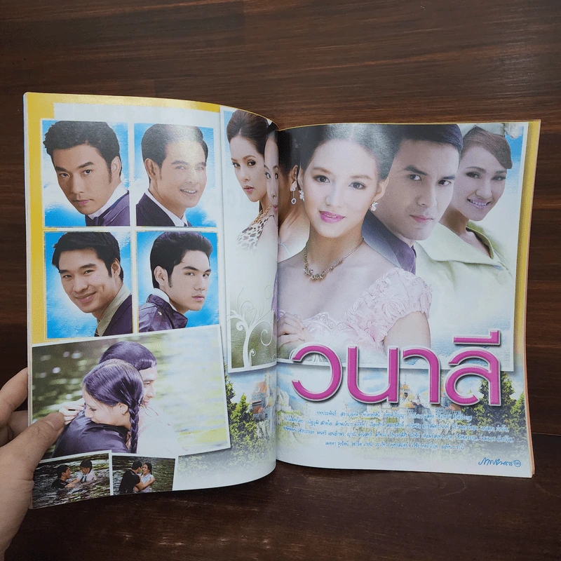 วนาลี เรื่องย่อละคร ภาพยนตร์บันเทิง รูปที่ 2