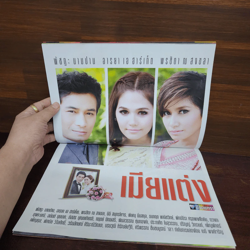 เมียแต่ง เรื่องย่อละคร ชีวิตดารา รูปที่ 2
