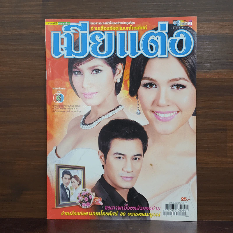 เมียแต่ง เรื่องย่อละคร ชีวิตดารา รูปที่ 1